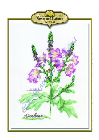 Leo - Verbena. Flores de Bach -Los 12 sanadores en CienciasEvolutivas.com