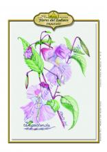 Aries - Impatiens. Flores de Bach -Los 12 sanadores en CienciasEvolutivas.com